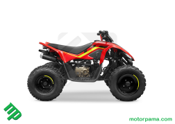 cf cforce 110 (2)